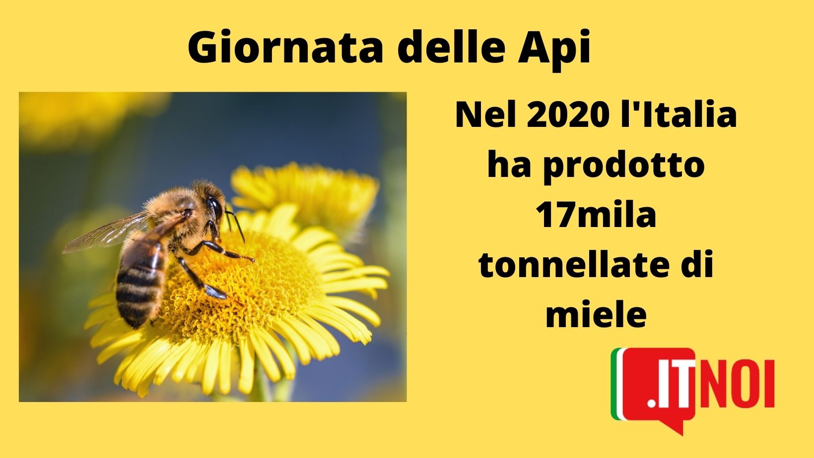 Giornata delle Api, Italia leader in Europa per il miele