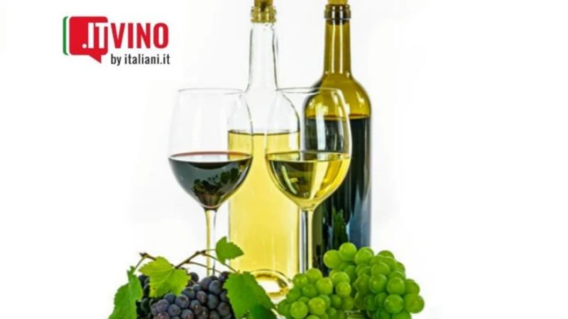 itVino: Un nuevo viaje al mundo del vino