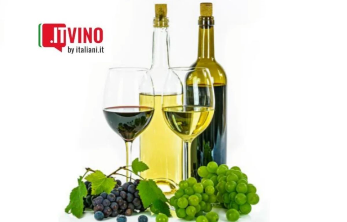 itVino: Un nuevo viaje al mundo del vino